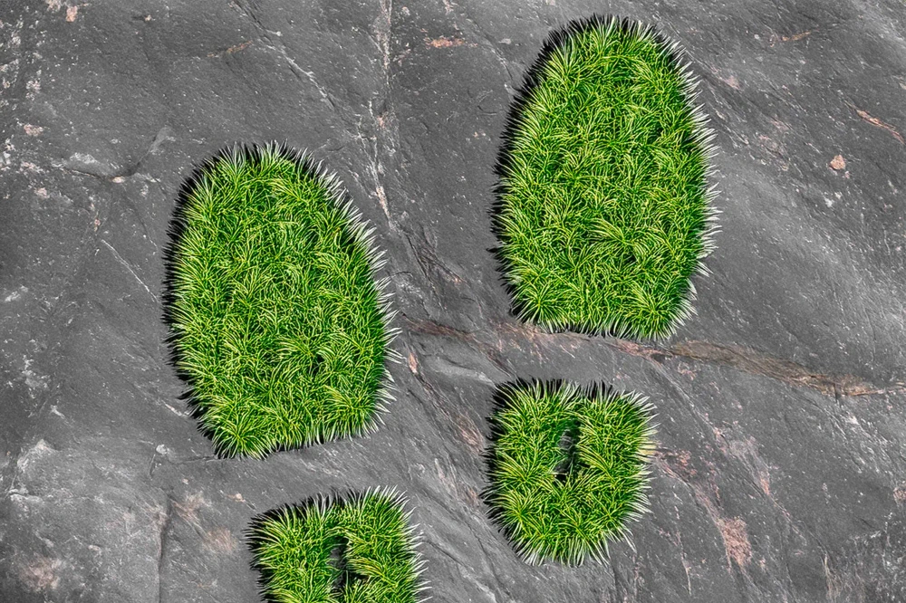 Was ist die ökologischste Bestattungsform?