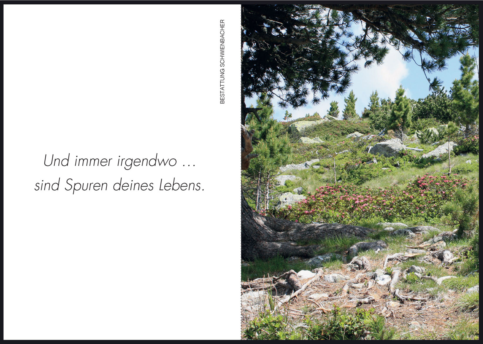 Sterbebild: Rosmarie Thurner