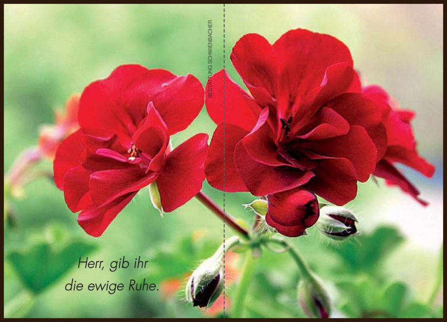 Sterbebild: Theresia Wwe. Obertegger geb. Kienzl