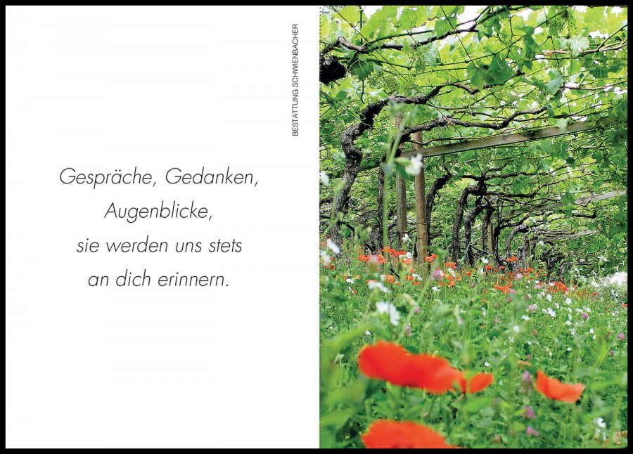 Sterbebild: Erna Waldner Wwe. Platter