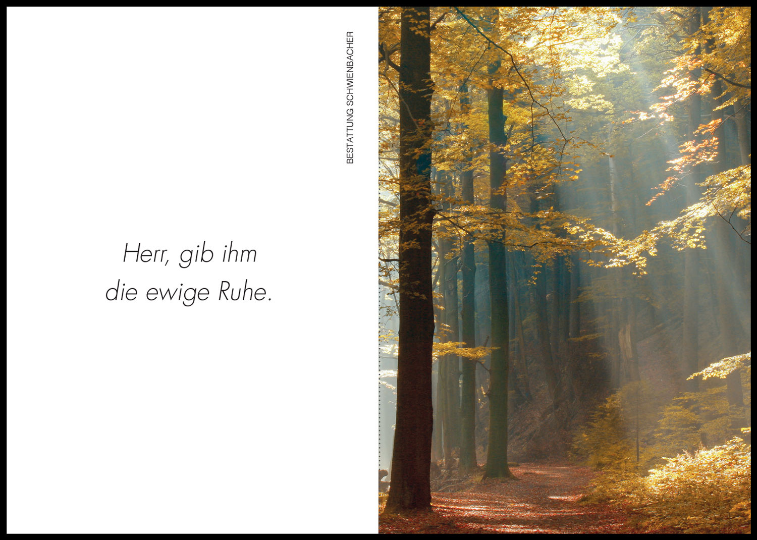 Sterbebild: Alois Pichler