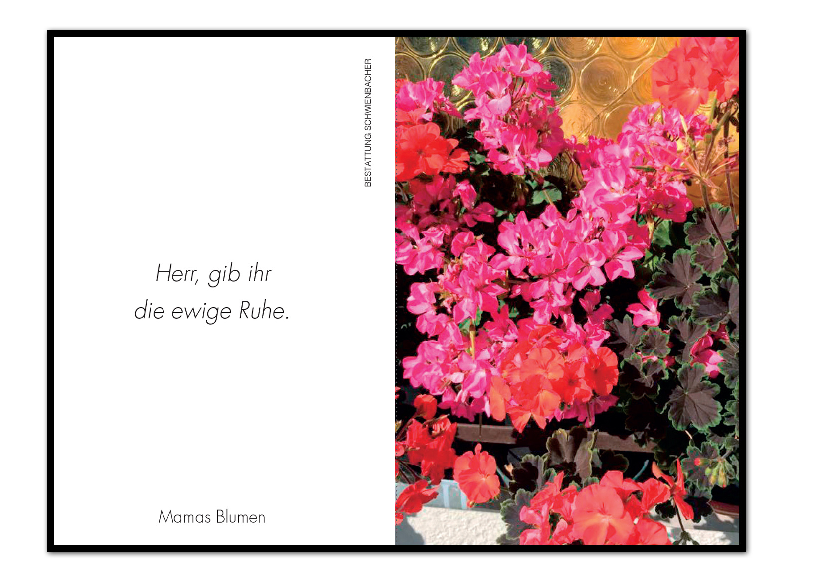 Sterbebild: Josefine Wwe. Alber  geb. Stocker 