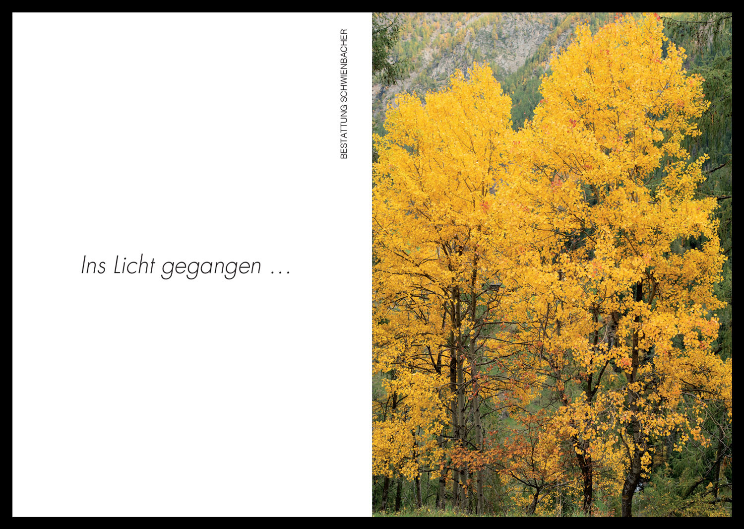 Sterbebild: Elisabeth Maria Wwe. Weger geb. Fink