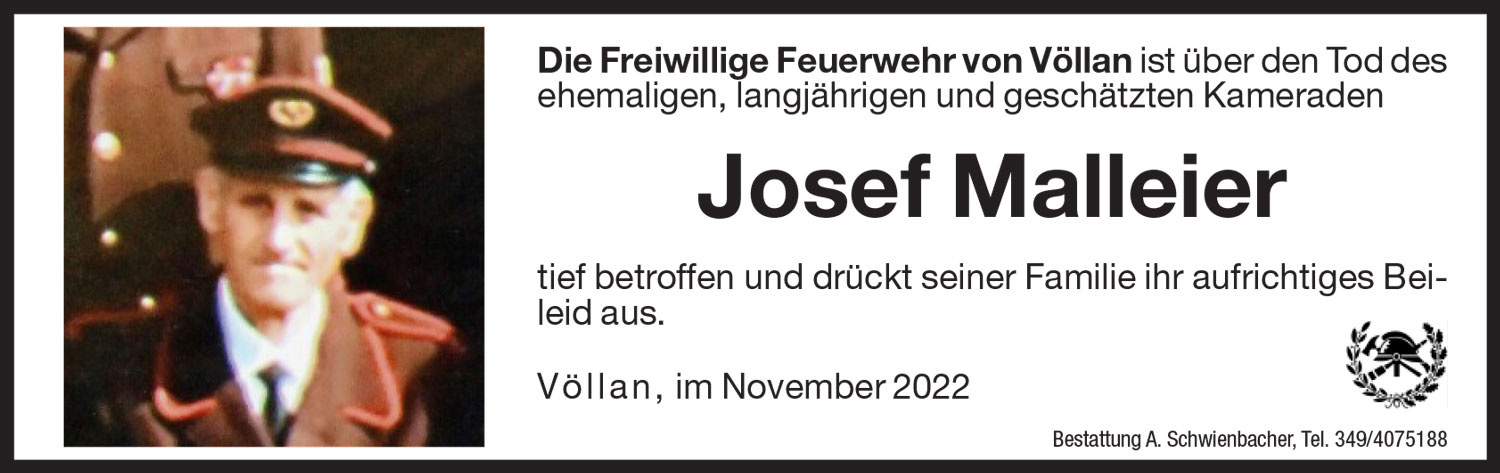 Medien: Josef Malleier