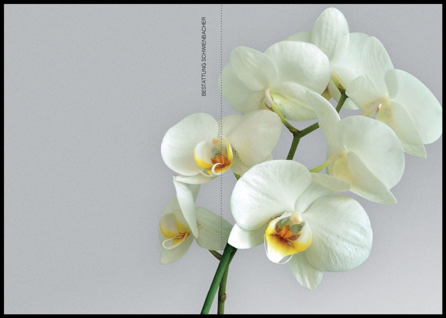 Sterbebild: Antonia Wwe. Erb geb. Gilg