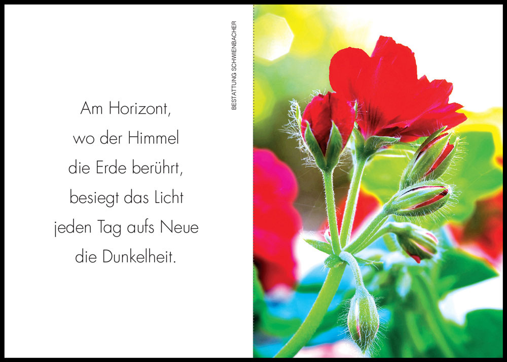 Sterbebild: Rosa Wwe. Rainer geb. Brugger