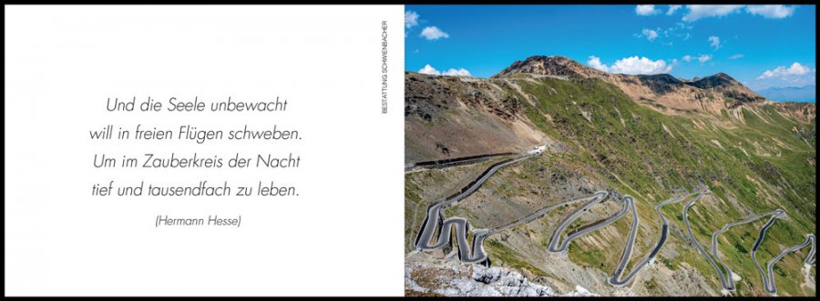 Sterbebild: Manfred Alois Defranceschi