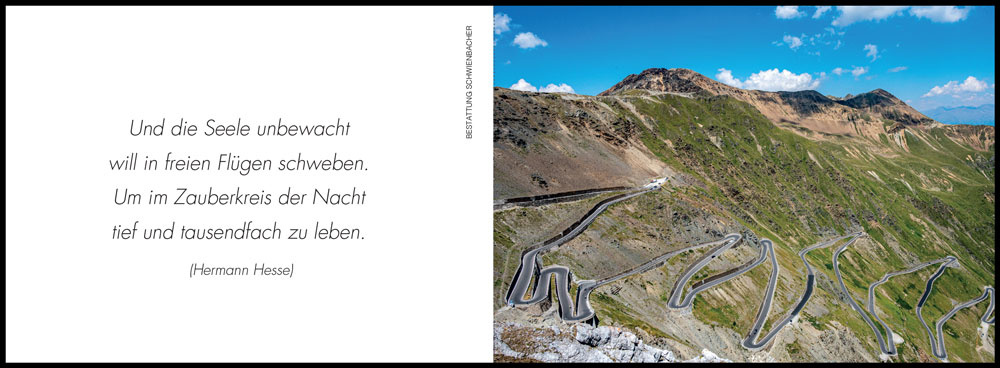 Sterbebild: Manfred Alois Defranceschi