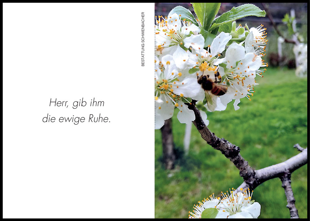 Sterbebild: Anton Johann  Larch