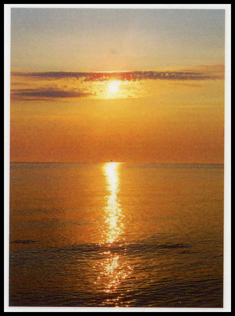 Sterbebild: Maurizio Damiani