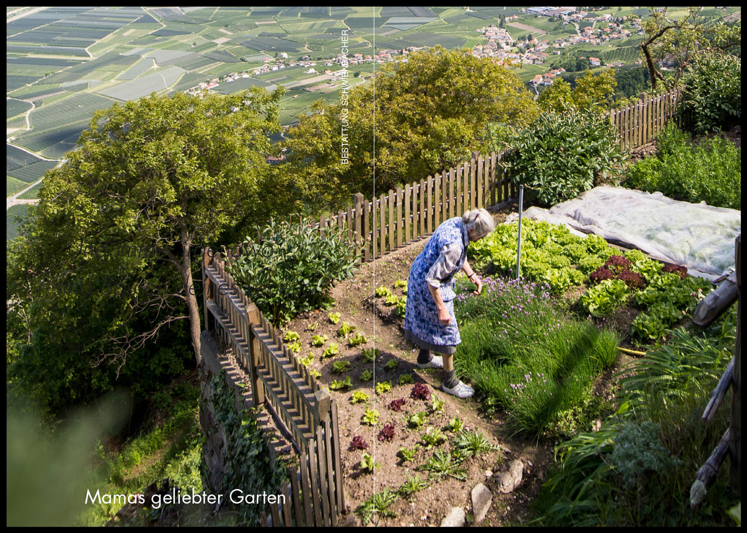 Sterbebild: Rosa Wwe. Geiser  geb. Matzoll