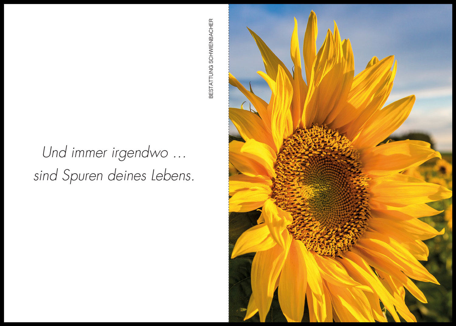 Sterbebild: Agnes Volgger geb. Haller