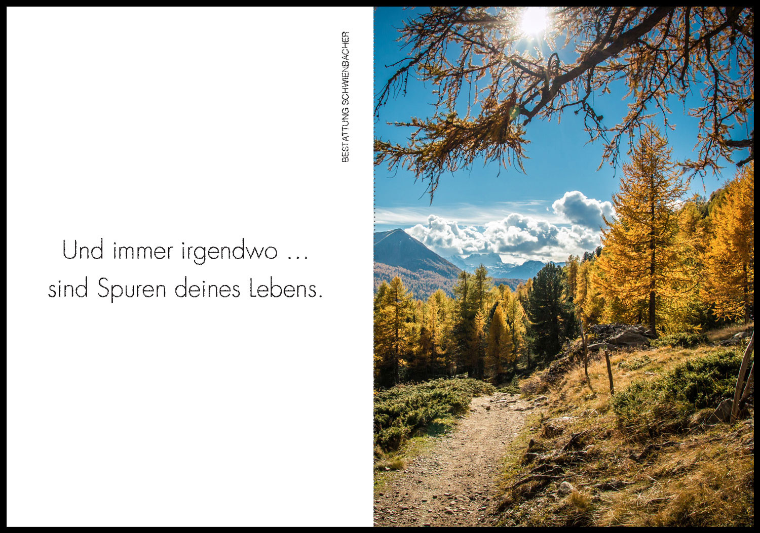 Sterbebild: Alois Johann Pircher