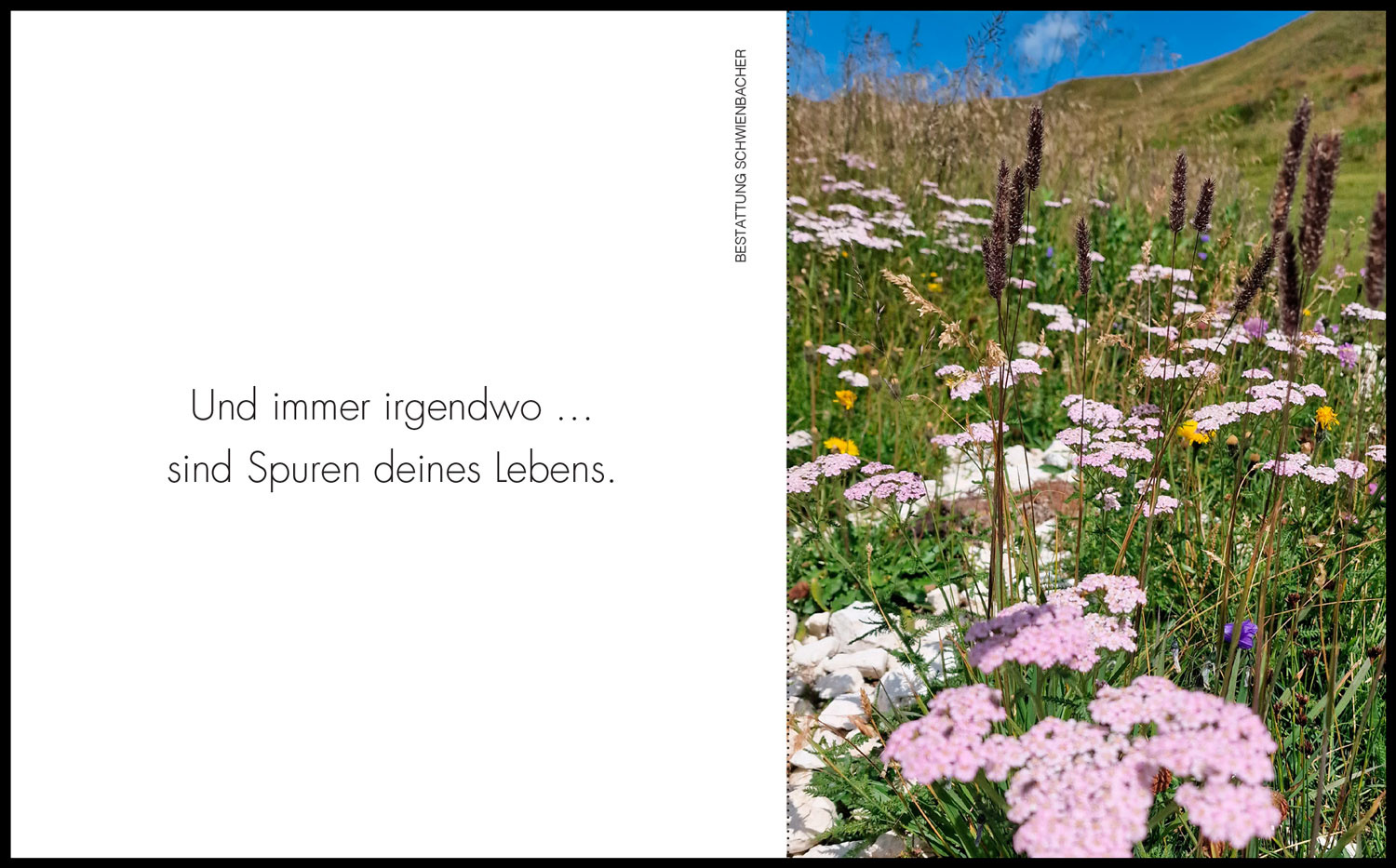 Sterbebild: Elisabeth Wwe. Geier geb. Gufler