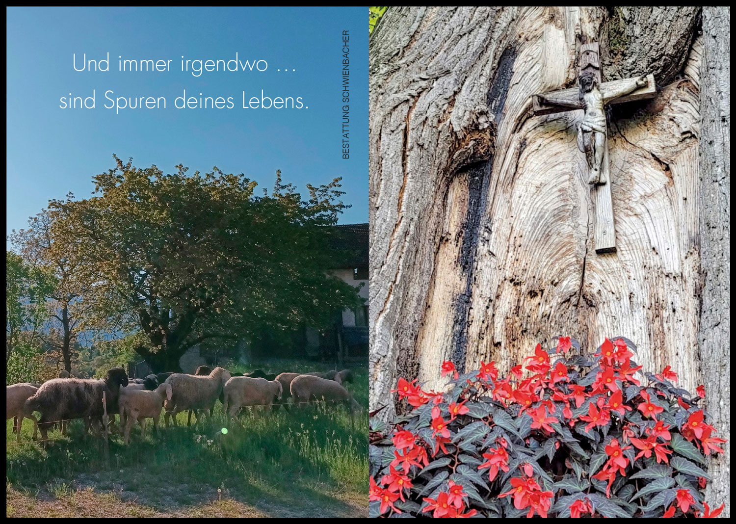 Sterbebild: Karl Brunner