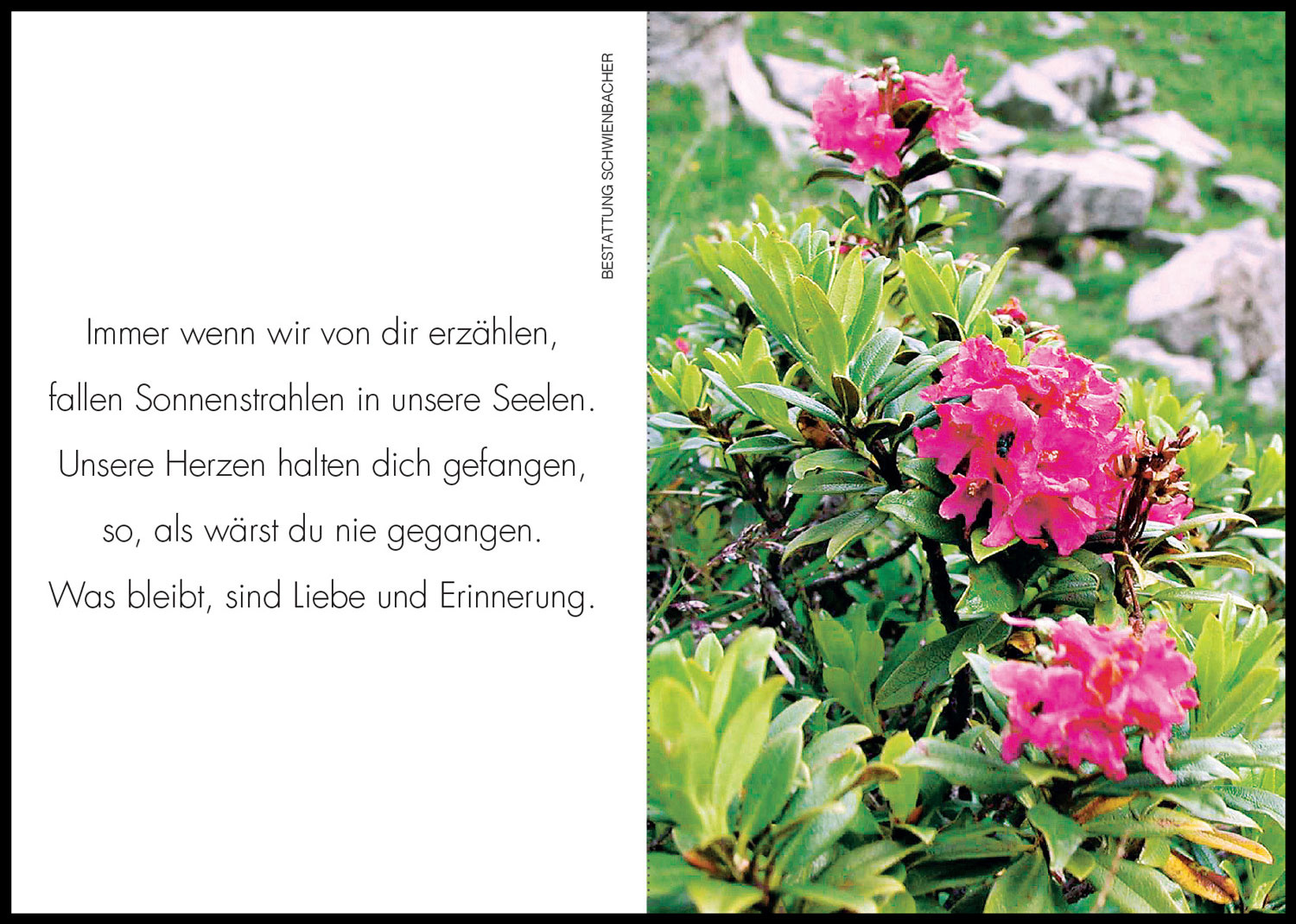 Sterbebild: Jolanda Baumgartner geb. Schmittner