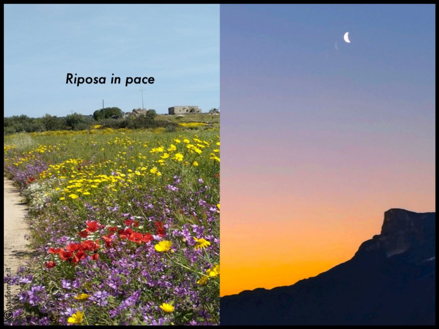 Sterbebild: Dott. Cosimo Cataldo Melle