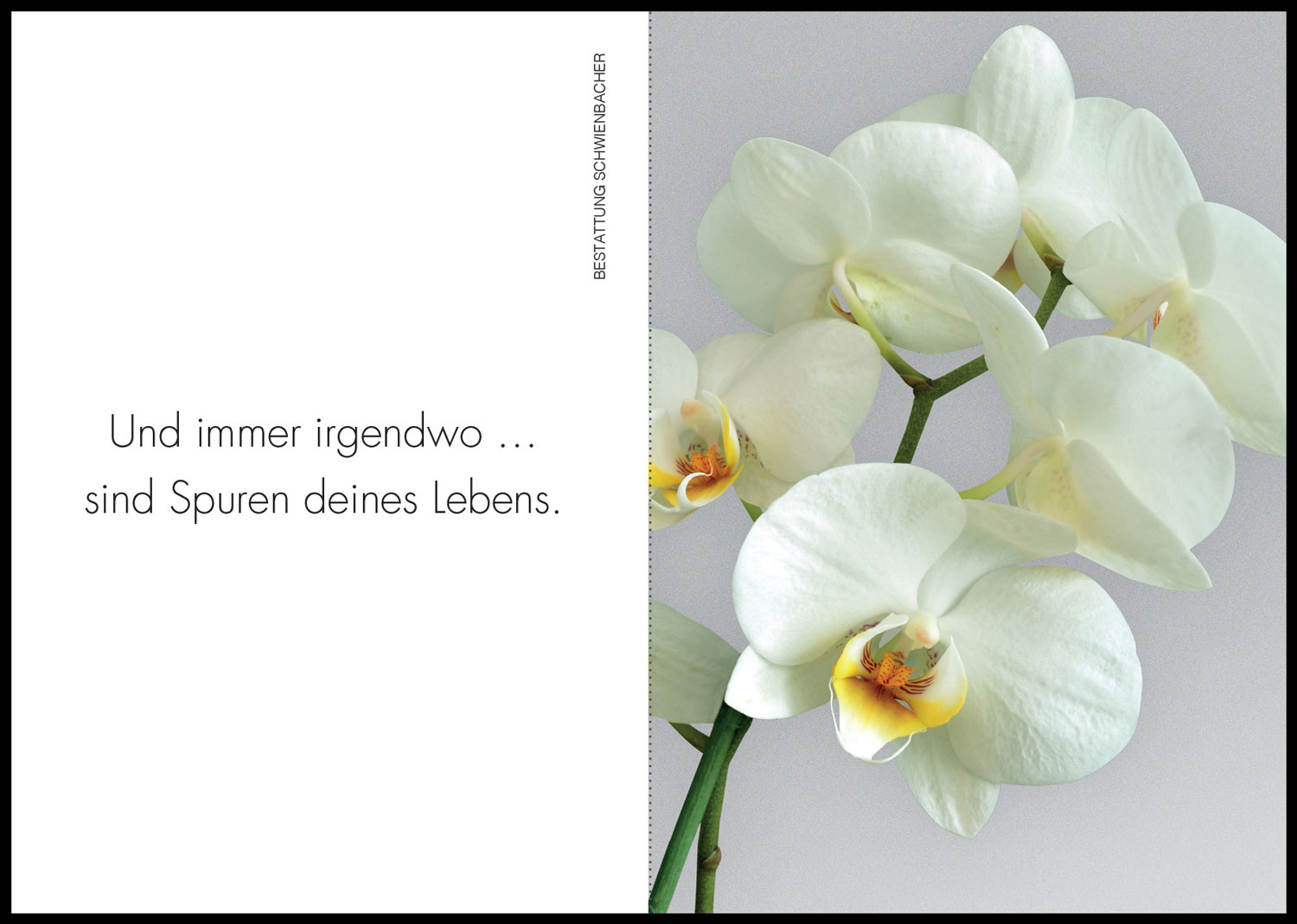 Sterbebild: Herta Wwe. Braunhofer geb. Bonetta