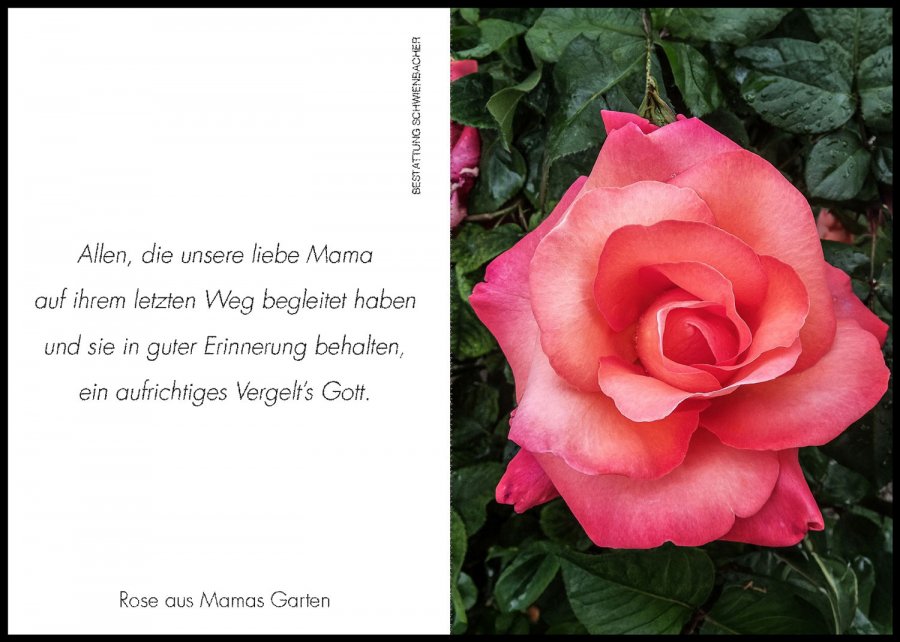 Sterbebild: Traudi Wwe. Waldner geb. Mairhofer