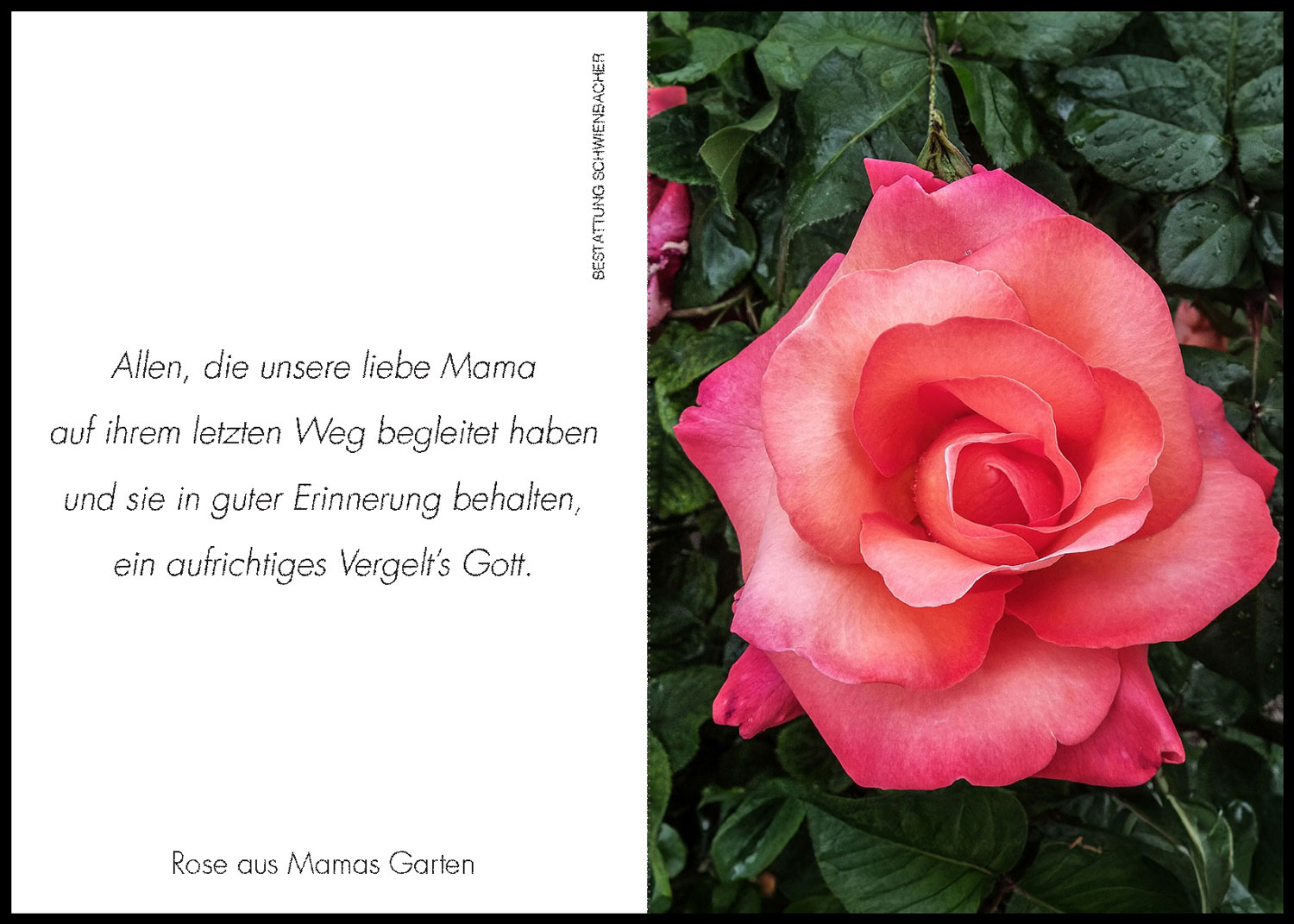 Sterbebild: Traudi Wwe. Waldner geb. Mairhofer