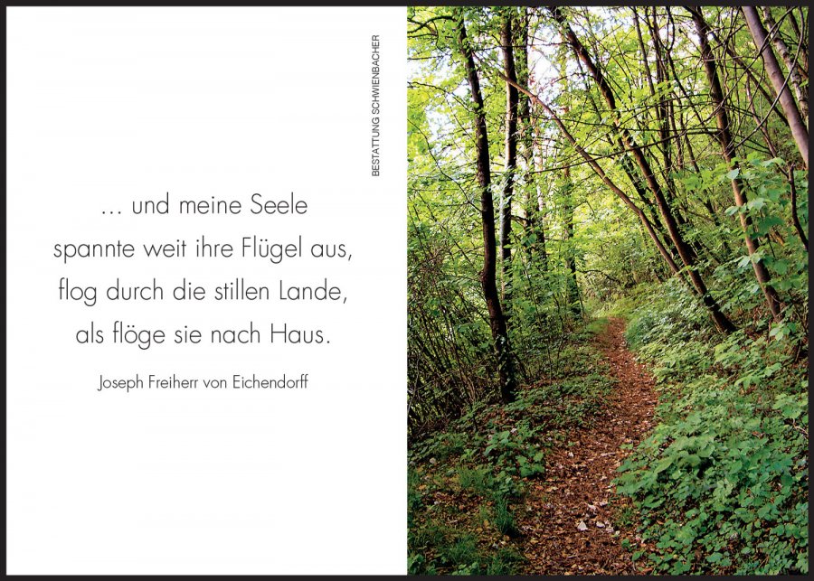 Sterbebild: Adalbert Vasselai