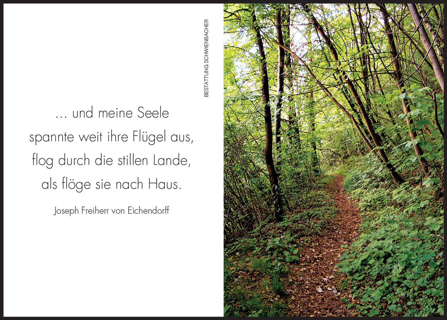 Sterbebild: Adalbert Vasselai