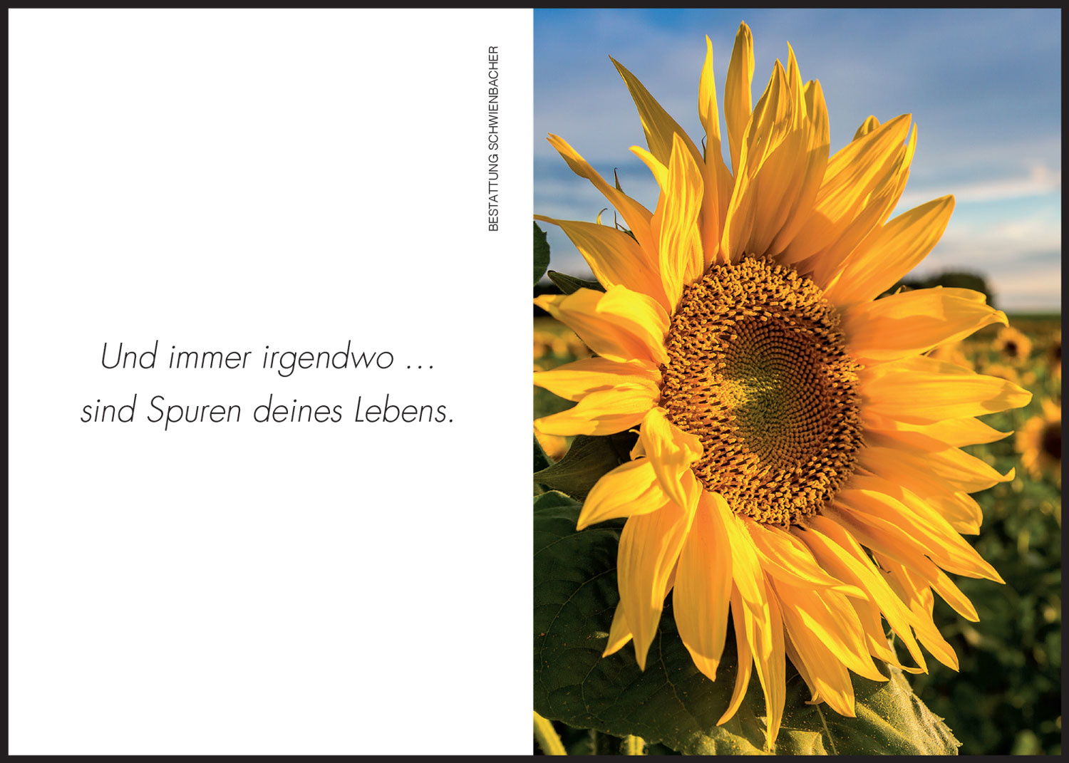 Sterbebild: Herta Kargruber