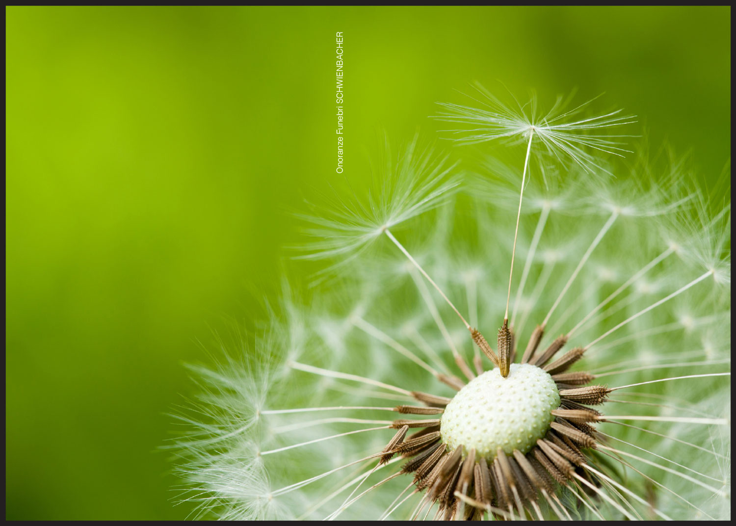 Sterbebild: Elsa Maria Delazer