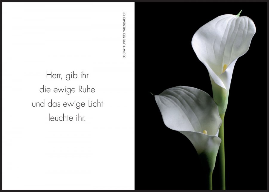 Sterbebild: Josefine Wwe. Pircher geb. Egger