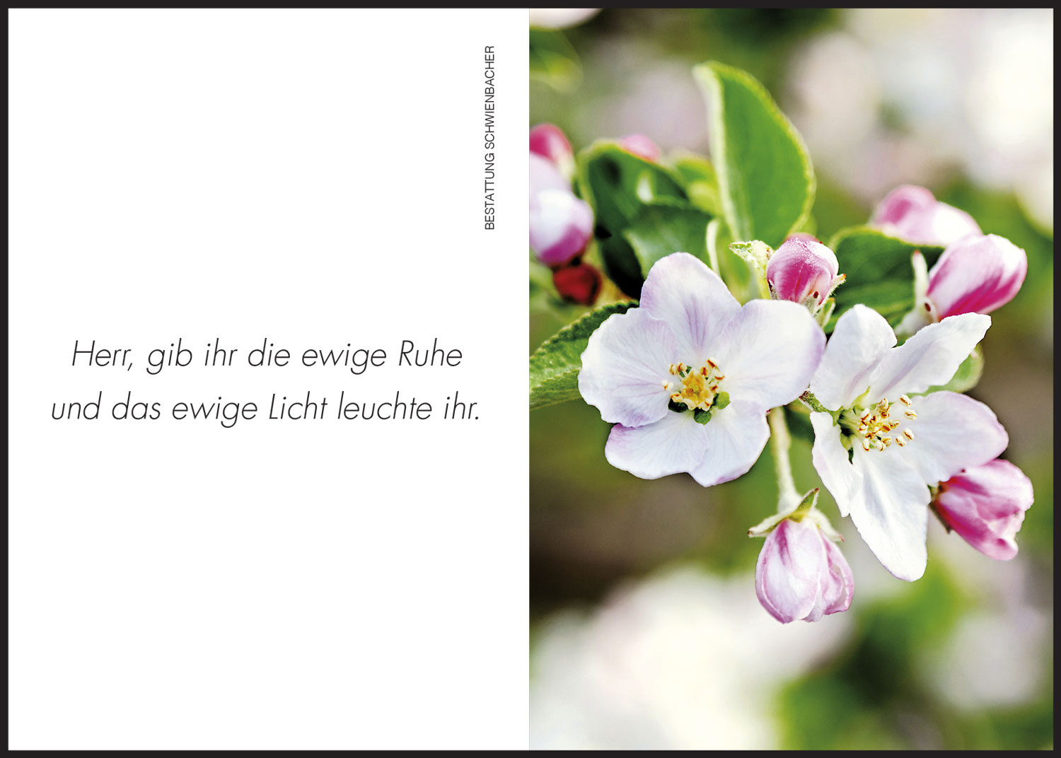 Sterbebild: Berta Wwe. Gruber geb. Frei