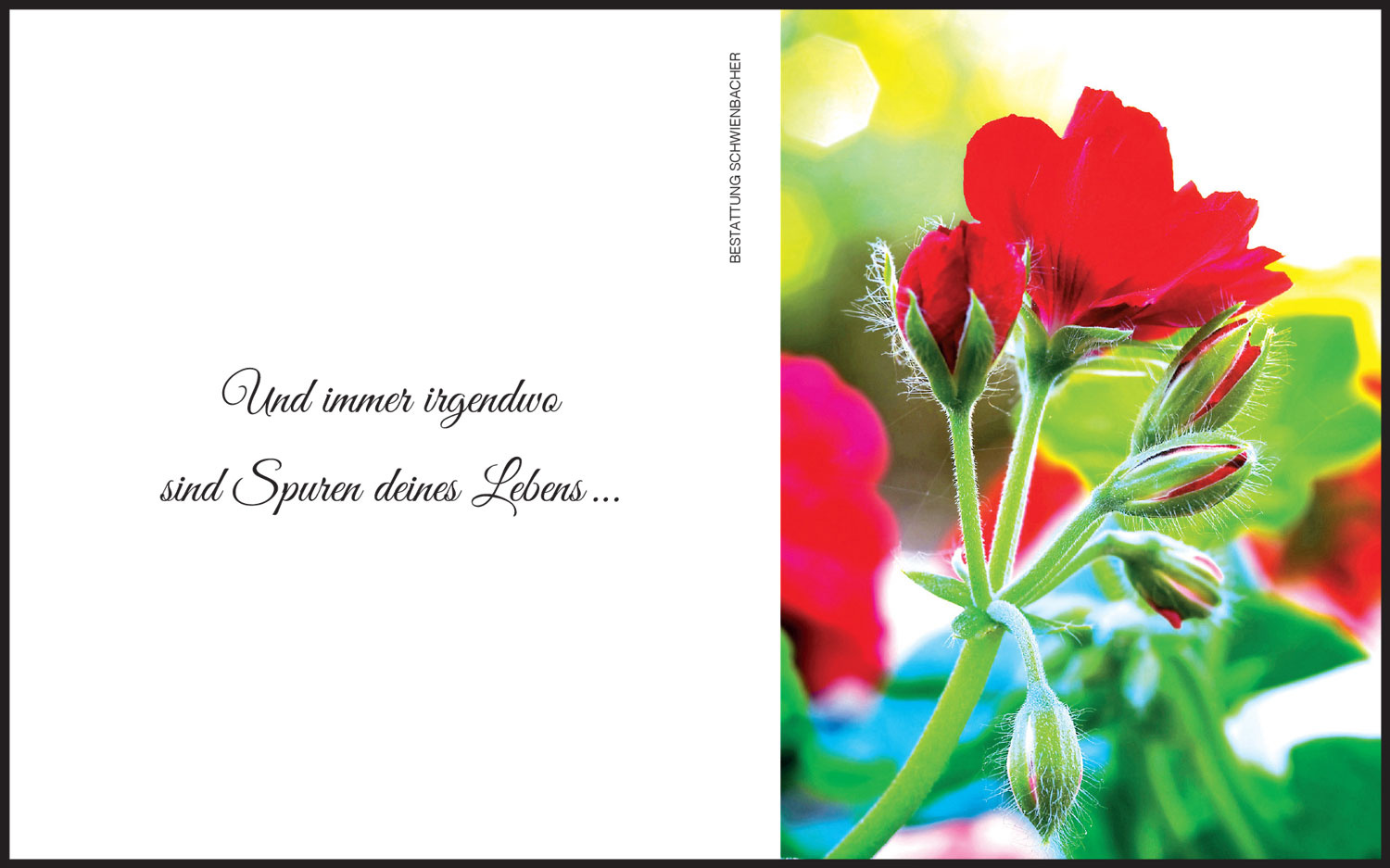 Sterbebild: Cecilia Wwe. Lamprecht geb. Altstätter