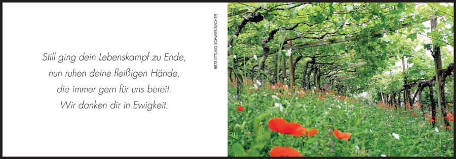 Sterbebild: Carolina Wwe. Thaler geb. Pernthaler