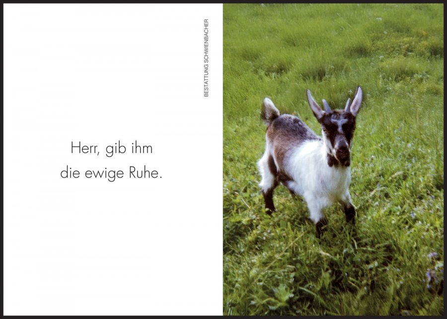 Sterbebild: Albert Schiefer