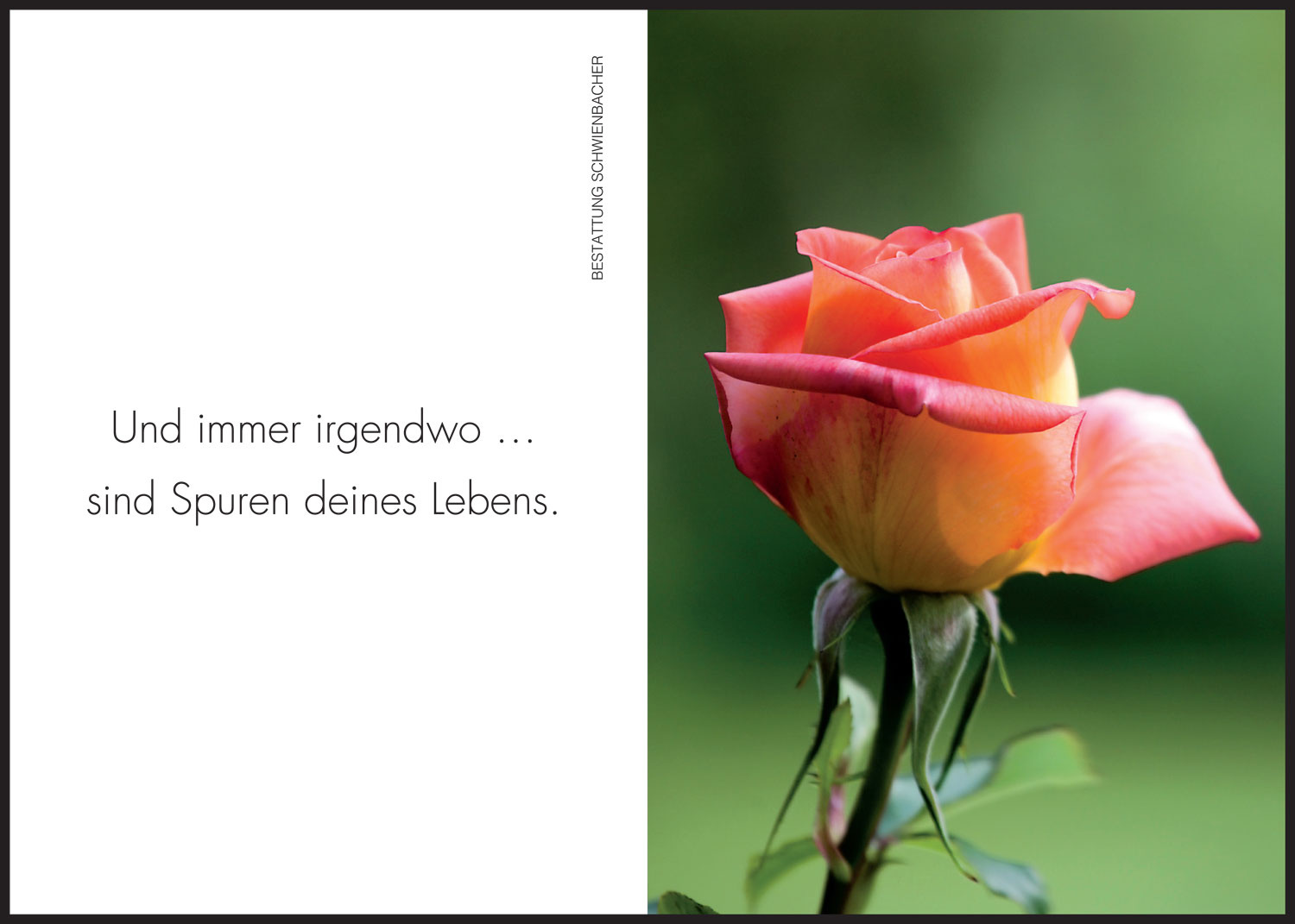 Sterbebild: Regina Fischer geb. Schwarz