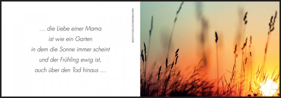 Sterbebild: Marianna Wwe. Buchschwenter geb. Raich