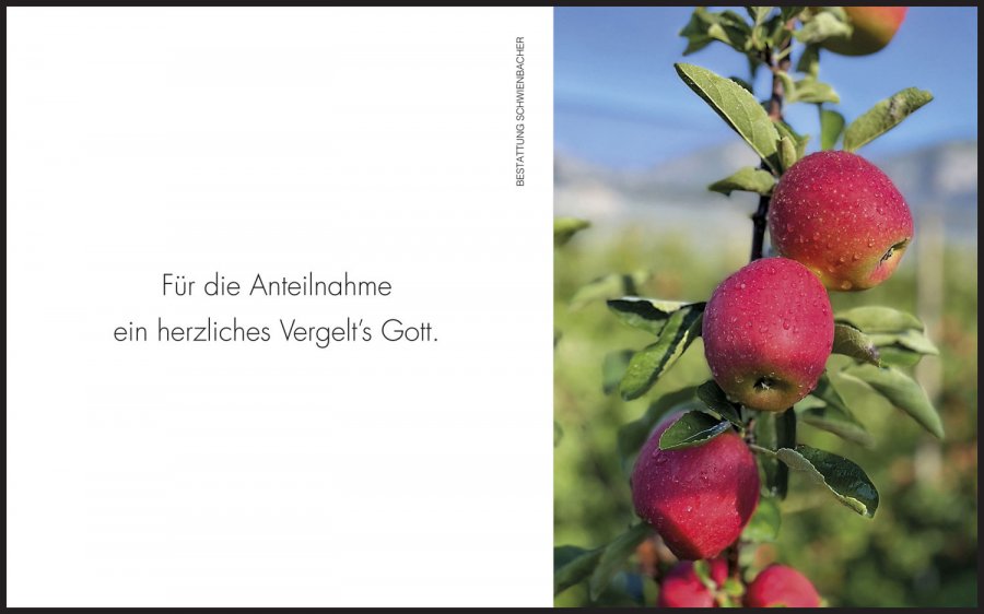 Sterbebild: Hugo Bertoldi