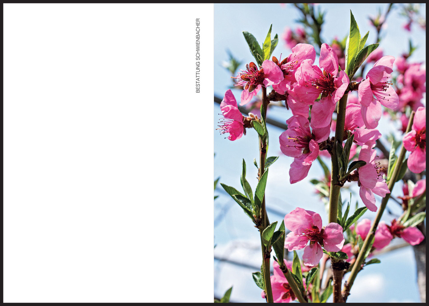 Sterbebild: Erdmute Dorothea Heath