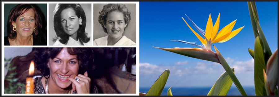 Sterbebild: Traudi Kröss