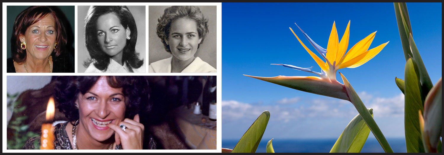 Sterbebild: Traudi Kröss