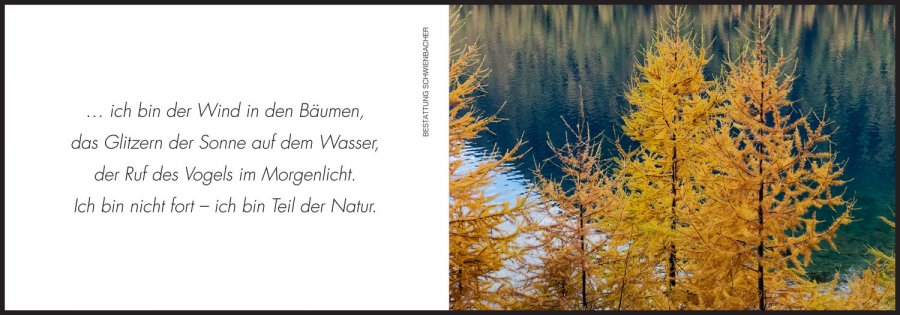 Sterbebild: Franz Esser