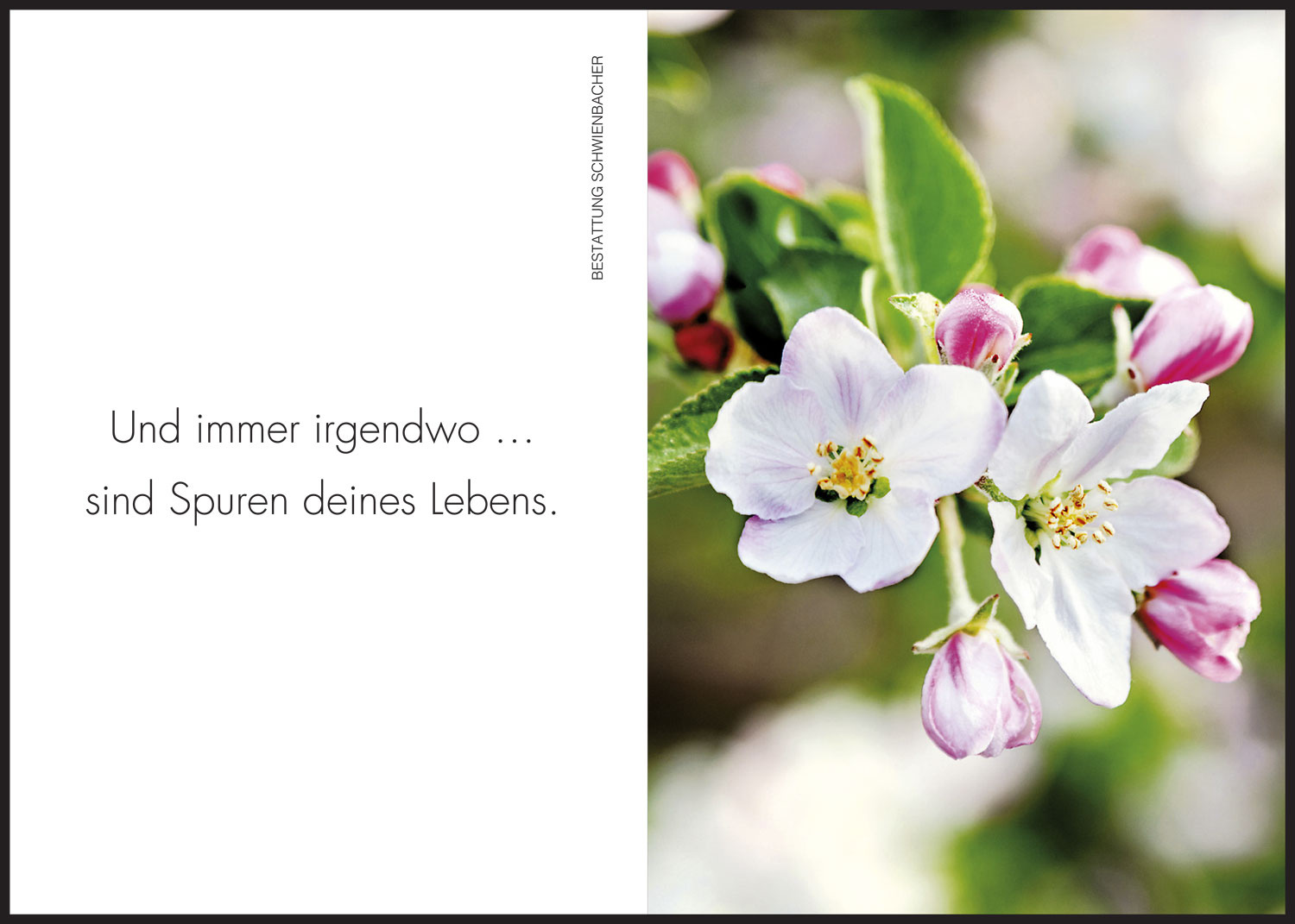 Sterbebild: Robert Preganella