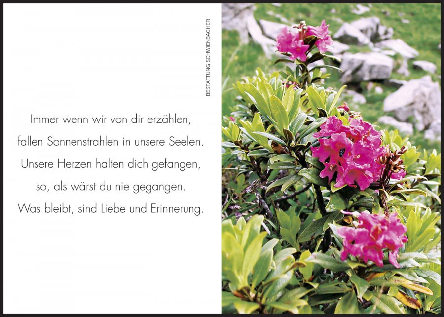 Sterbebild: Benedikt Baumgartner