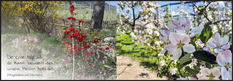 Sterbebild: Franz Maier