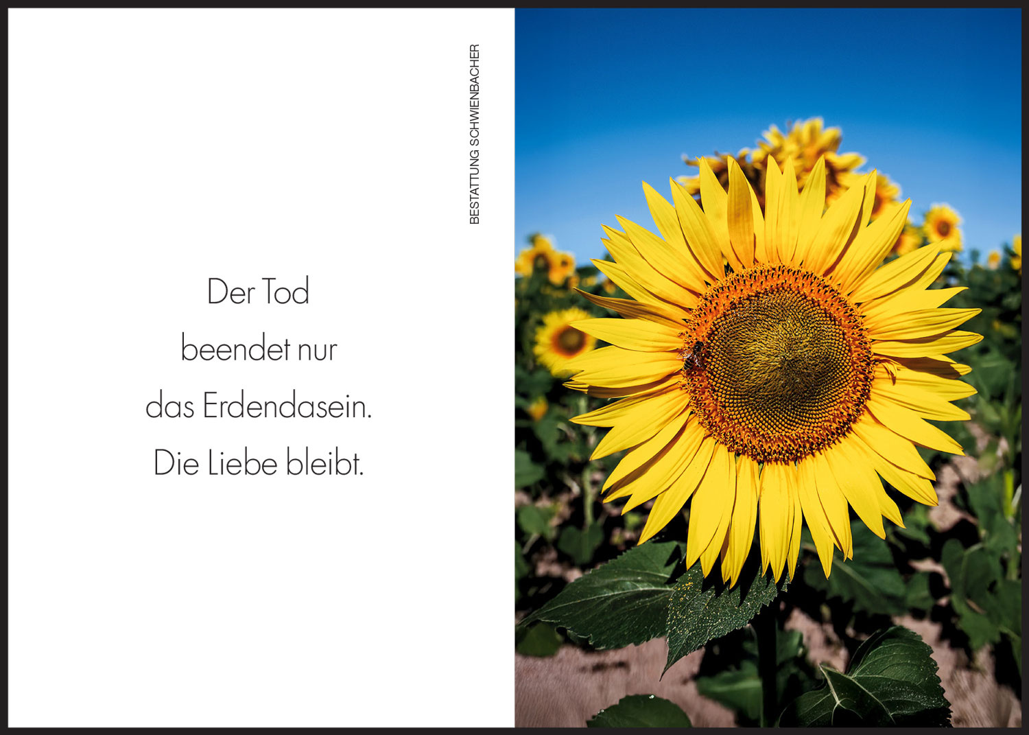 Sterbebild: Erica Mair geb. Garbislander