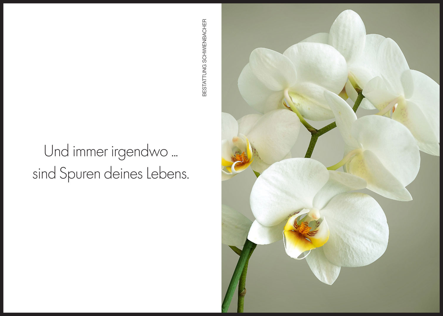 Sterbebild: Stefania Wwe. Nagler geb. Tauber