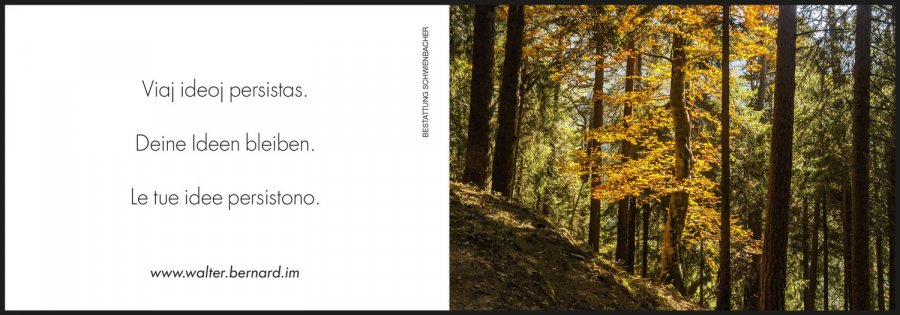 Sterbebild: Ing. Walter Bernard