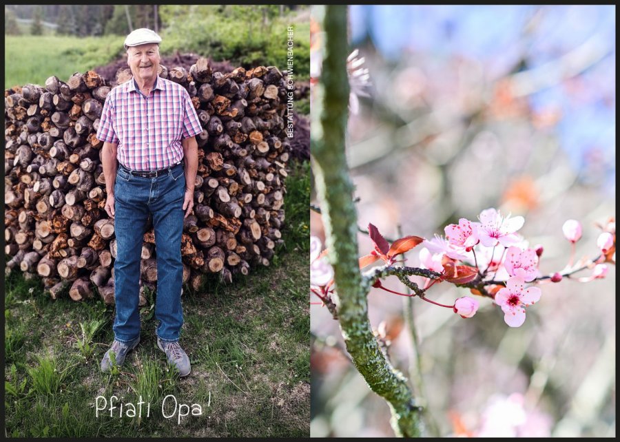 Sterbebild: Franz Weiss