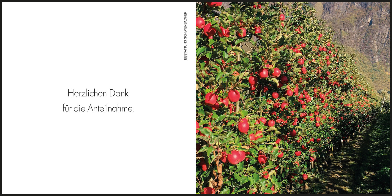 Sterbebild: Karl Huez