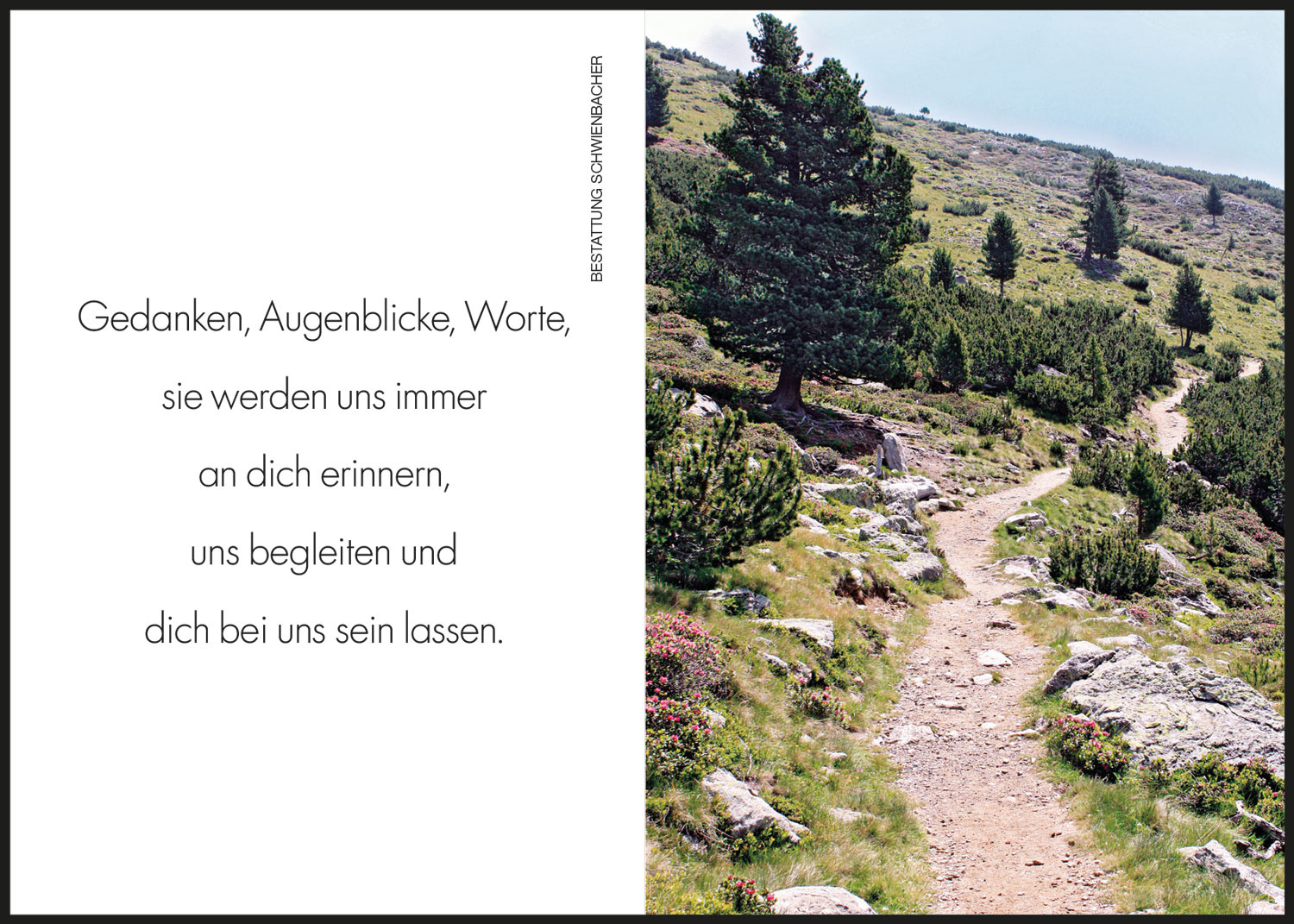 Sterbebild: Enrico Asson