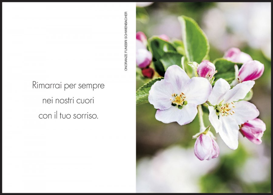 Sterbebild: Federica ved. De Vitti nata Kurz